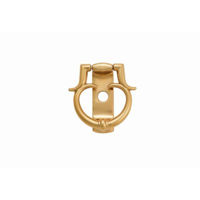 درکوب شاخ دار طلایی